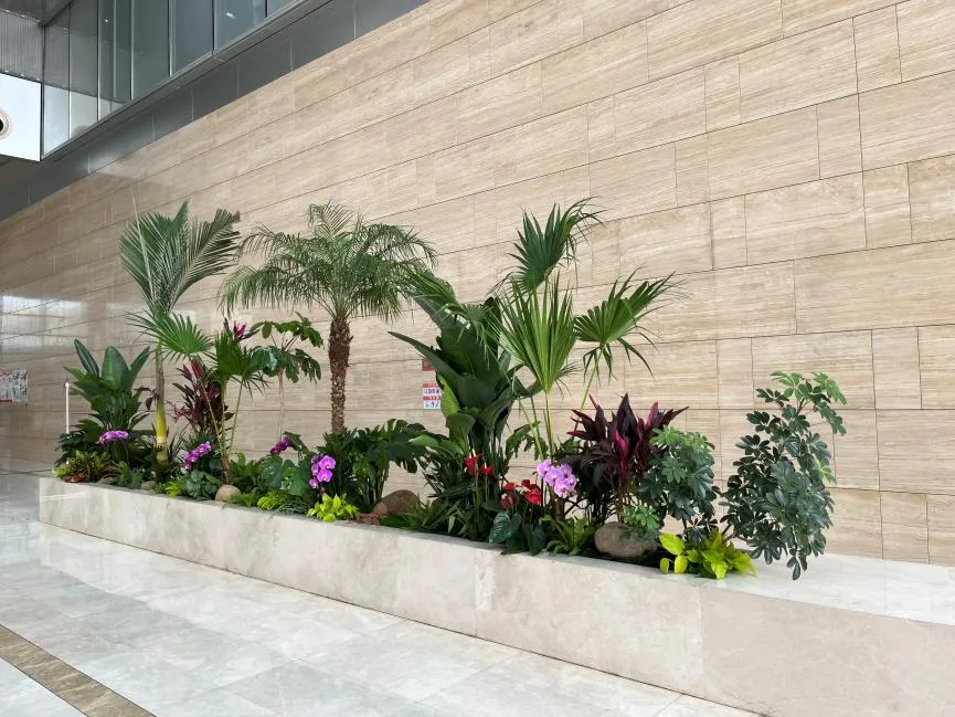 北仑盆景租摆价格知多少？一文带你摸透行情！